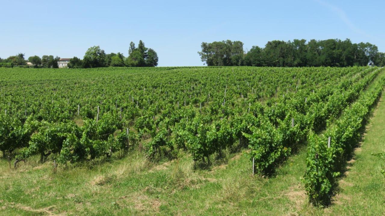 Chateau Begot Lansac  Eksteriør bilde